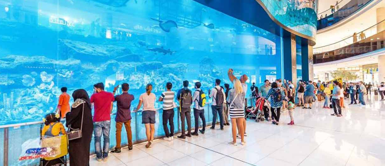Underwater Zoo Tour Dubai
